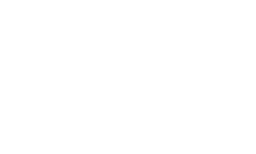 New Mexico Arts